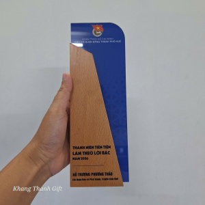 Kỷ niệm chương pha lê phối gỗ đẹp