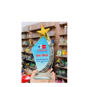 Kỷ niệm chương pha lê  thủy tinh 2 lớp  đẹp cuộc thi SMARFIN