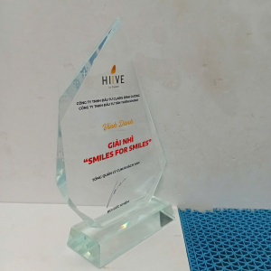 Kỷ niệm chương pha lê vinh danh đẹp 