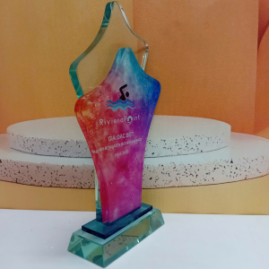Kỷ niệm chương thủy tinh 2 lớp bơi