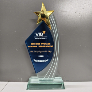 Kỷ niệm chương thủy tinh 2 lớp phối sao 