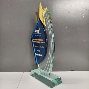 Kỷ niệm chương thủy tinh 2 lớp phối sao 