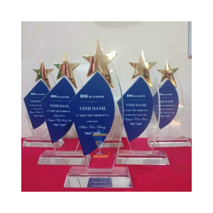  KỶ NIỆM CHƯƠNG PHA LÊ VINH DANH LT XUẤT SẮC NHIỆM KỲ 5