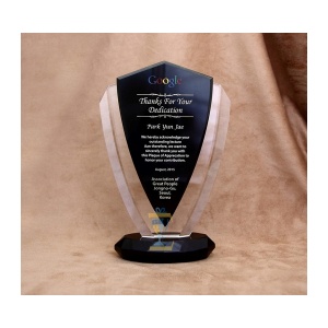 KỶ NIỆM CHƯƠNG PHA LÊ VINH DANH GOOGLE