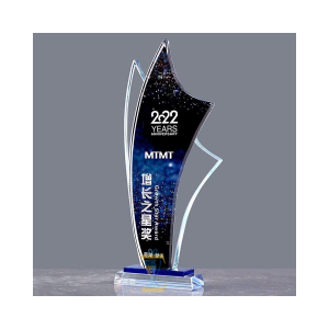 KỶ NIỆM CHƯƠNG PHA LÊ VINH DANH YEARS MTMT