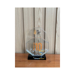 KỶ NIỆM CHƯƠNG PHA LÊ VINH DANH MISS ESMART 2022