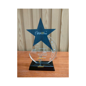  KỶ NIỆM CHƯƠNG PHA LÊ VINH DANH "SGGL"