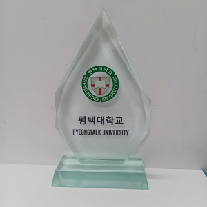 Kỷ niệm chương thủy tinh                      