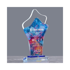 KỶ NIỆM CHƯƠNG PHA LÊ VINH DANH WLZY