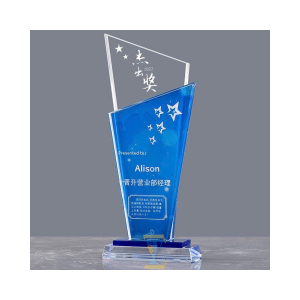 KỶ NIỆM CHƯƠNG PHA LÊ VINH DANH ALison