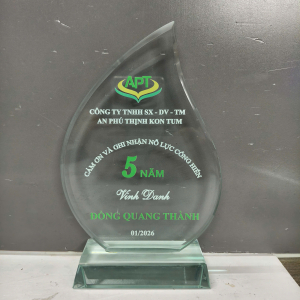 Kỷ niệm chương thủy tinh chiếc lá giá tốt 