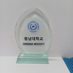 Kỷ niệm chương thủy tinh trường học                    