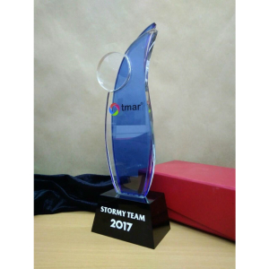 KỶ NIỆM CHƯƠNG VINH DANH 2 LỚP CHỮ NHẬT