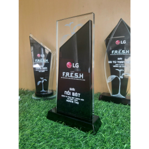 KỶ NIỆM CHƯƠNG VINH DANH 2 LỚP CHỮ NHẬT