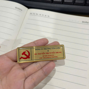 Pins cài áo - logo cài áo - bảng tên nhân viên kim loại in phủ keo
