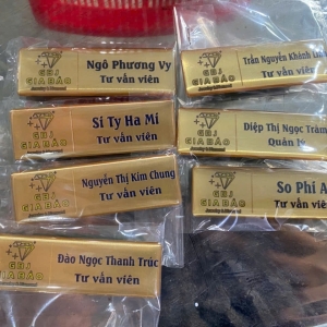 Pins cài áo - logo cài áo - bảng tên nhân viên kim loại in phủ keo