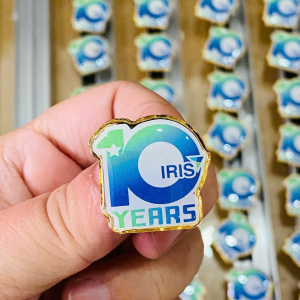 pins cài áo - logo cài áo - huy hiệu cài áo 10 năm