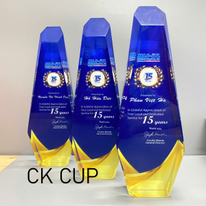 TOP 5 Địa Điểm Đặt Kỷ Niệm Chương Giá Tốt và Đẹp Tại TP.HCM