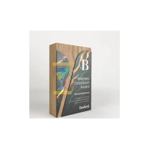 TROPHY GỖ CAO CẤP 06