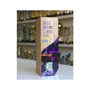 TROPHY GỖ CAO CẤP 08