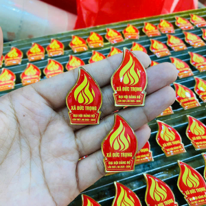 pins cài áo Đại hội Đảng Bộ  - logo cài áo - huy hiệu kim loại in phủ keo 12